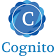 COGNITO INC