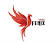 GRUPO FENIX ML SA DE CV