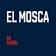 El Mosca, Go Global
