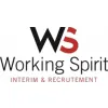 Working Spirit