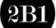 2B1 International Consulting