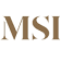 MSI Services