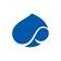 Capgemini