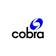 Grupo Cobra