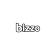Bizzo App