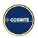 COSINTE LTDA