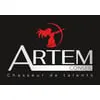 ARTEM CONSEIL