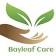 Bayleaf Care