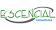 Escencial Consultores