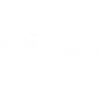 SET Europa