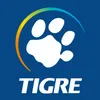 Grupo Tigre