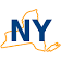 New York Professional Group
